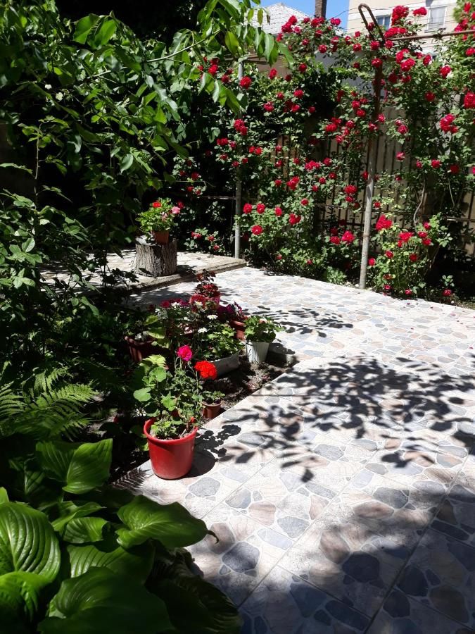 Дома для отпуска Casa de Vacanta Сулина-27