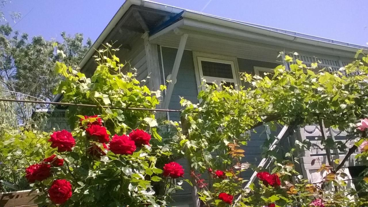 Дома для отпуска Casa de Vacanta Сулина-31