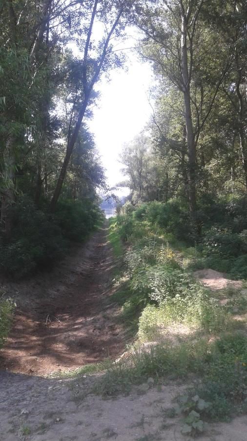 Дома для отпуска Casa de Vacanta Сулина-38