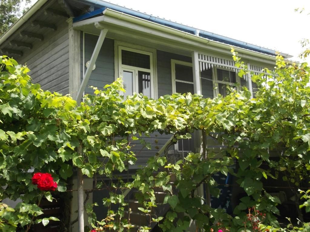 Дома для отпуска Casa de Vacanta Сулина-73
