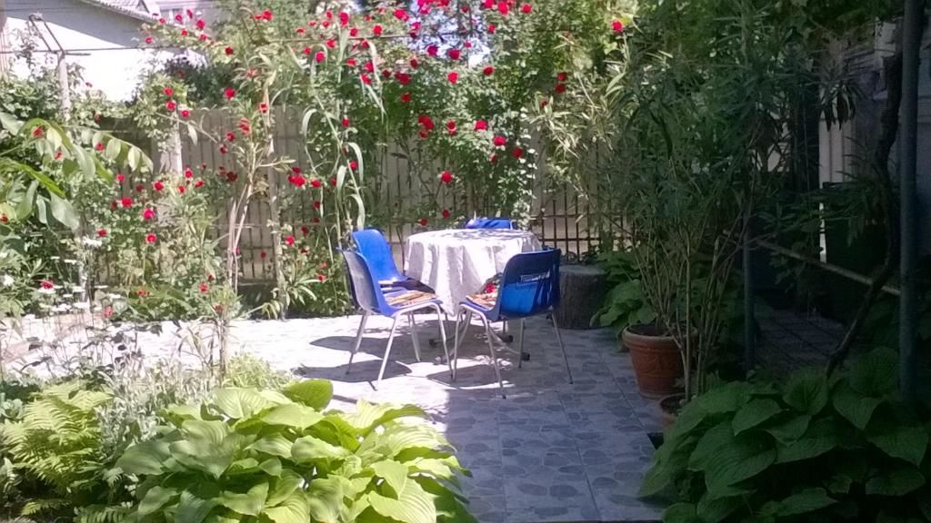 Дома для отпуска Casa de Vacanta Сулина-78