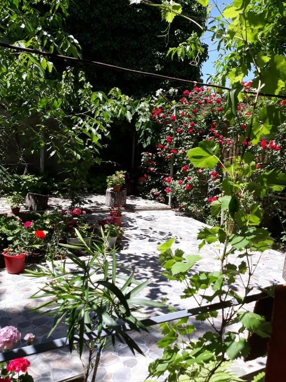 Дома для отпуска Casa de Vacanta Сулина-82