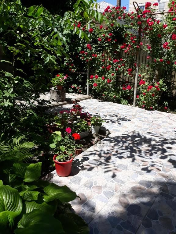 Дома для отпуска Casa de Vacanta Сулина-83