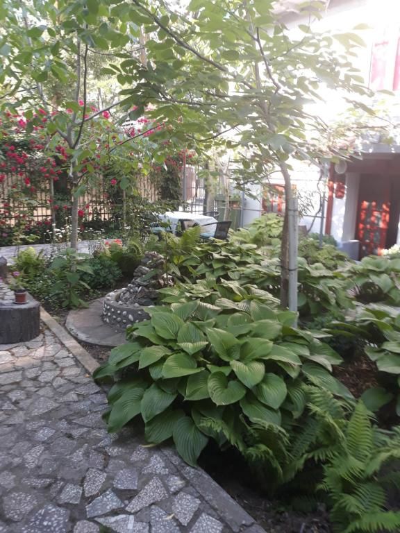 Дома для отпуска Casa de Vacanta Сулина-94
